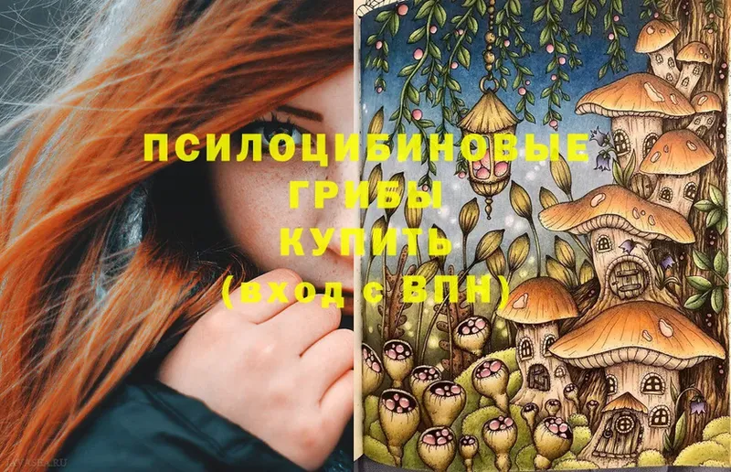 KRAKEN зеркало  Островной  Галлюциногенные грибы MAGIC MUSHROOMS 